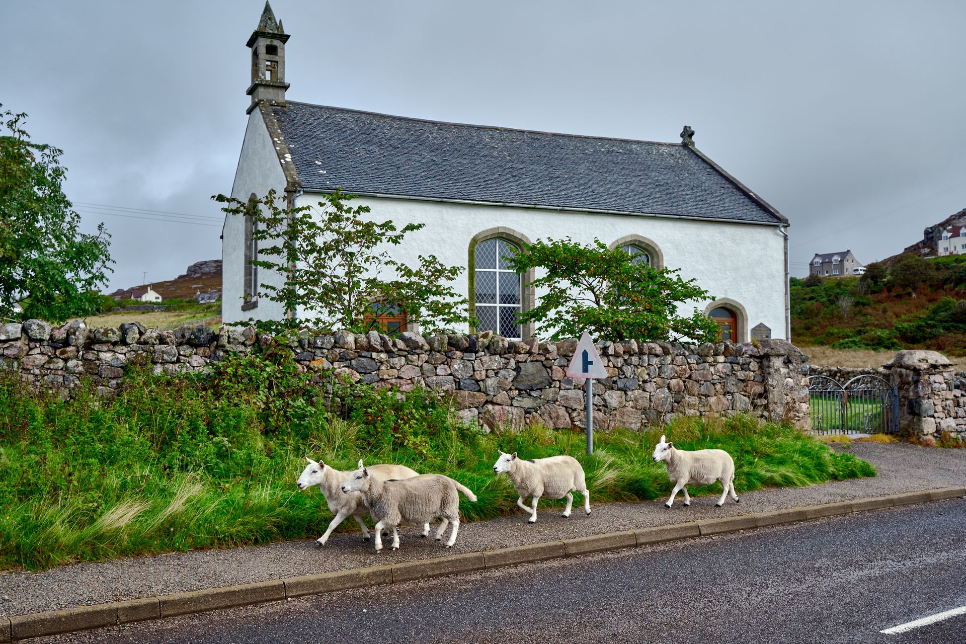 Celtic Adventure